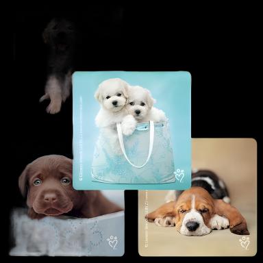 SmileMakers Rachael Hale Dogs Stickers, 2-1/2 Inch, 100 per Box for Pediatric Patient Comfort