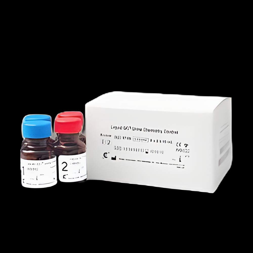 https://us-stg-media.usamedpremium.com/public/assets/Catalog/Images/USAMP-26000890.webp