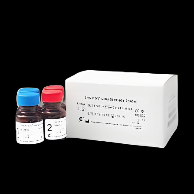 https://us-stg-media.usamedpremium.com/public/assets/Catalog/Images/USAMP-26000890.webp
