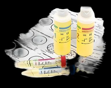 Reproductive Endocrinology Control Set qUAntify® Plus Pregnancy (hCG) Rapid Testing 2 Levels 4 X 120 mL
