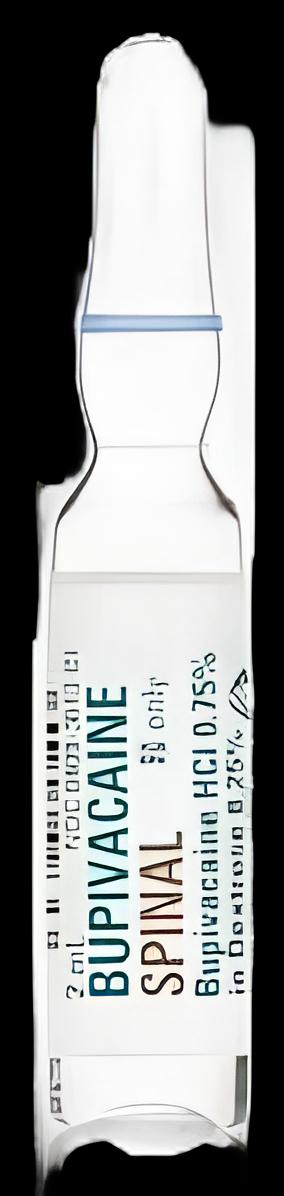 https://us-stg-media.usamedpremium.com/public/assets/Catalog/Images/USAMP-29855656.webp