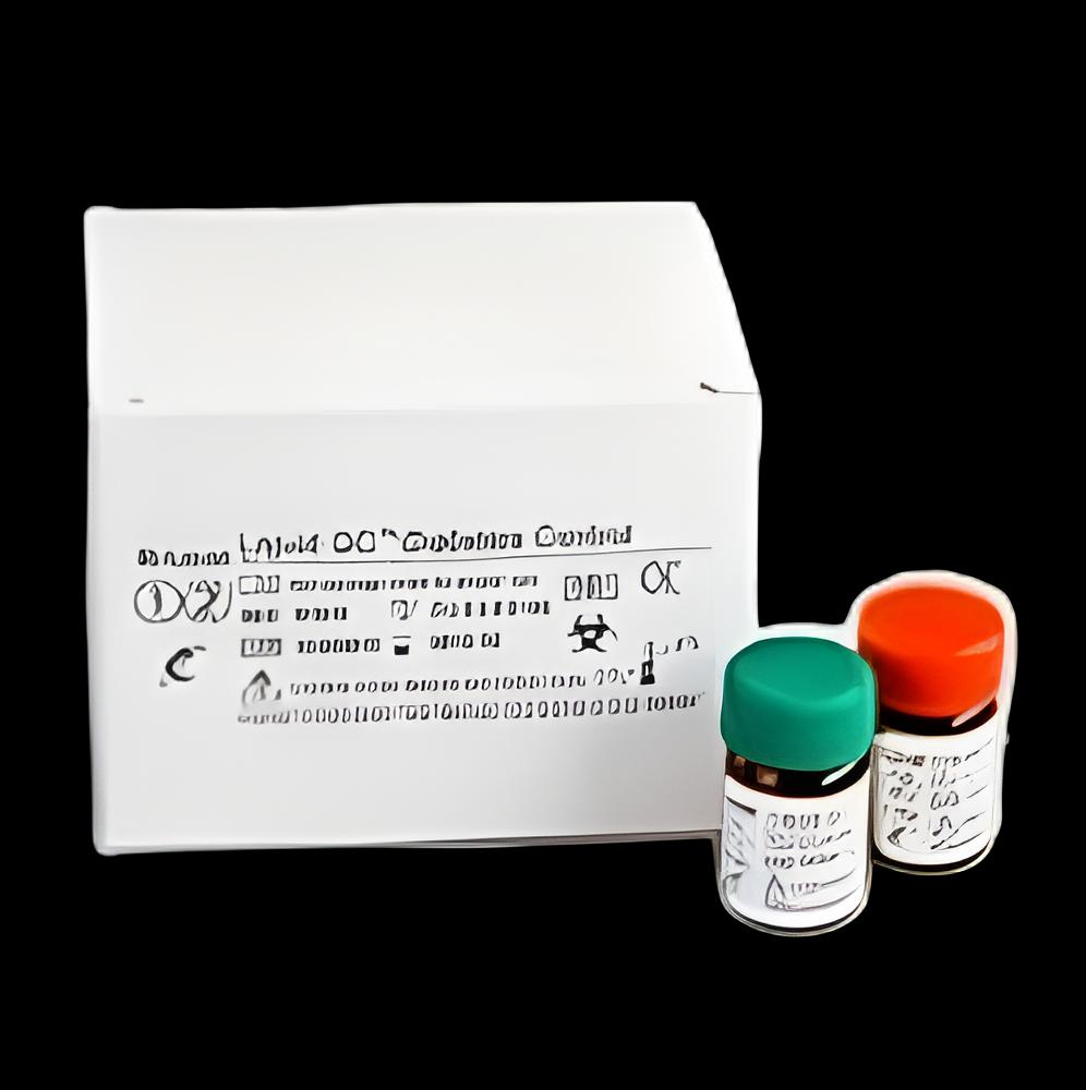 https://us-stg-media.usamedpremium.com/public/assets/Catalog/Images/USAMP-33105463.webp