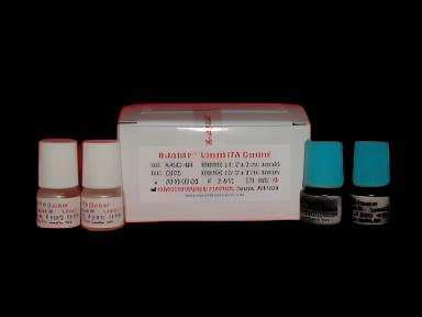 Control Set ITA 2 Levels 4 X 2 mL
