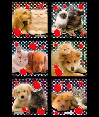 Kids Love Stickers® 90 per Roll Lovable Dog n Cat Photos , Assorted Sticker 2-1/2 Inch