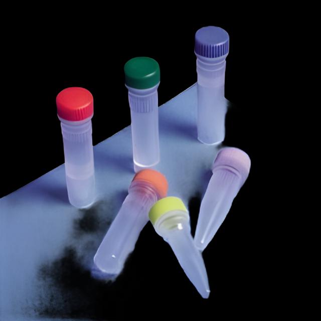https://us-stg-media.usamedpremium.com/public/assets/Catalog/Images/USAMP-51596090.webp