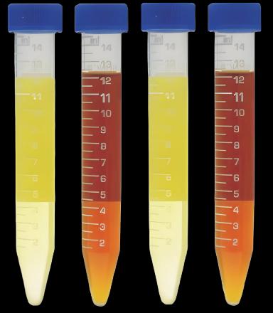 Multi-Analyte Control Set for Urinalysis - Levels 1 & 2, 4 x 12 mL by Germaine Laboratories