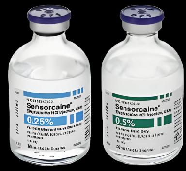Sensorcaine® - MPF with Epinephrine Bupivacaine HCl / Epinephrine, Preservative Free 0.25% - 1:200,000 Injection Single-Dose Vial 10 mL