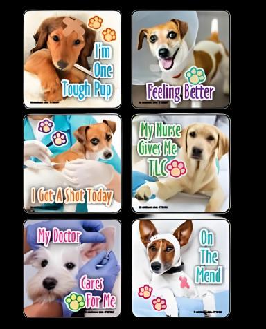 TLC Pups Assorted Stickers 2-1/2 Inch by Kids Love Stickers® - Pack of 75 for Pediatric Rewards