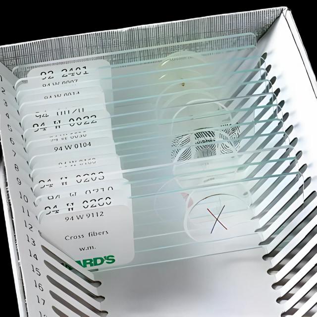 https://us-stg-media.usamedpremium.com/public/assets/Catalog/Images/USAMP-90253407.webp