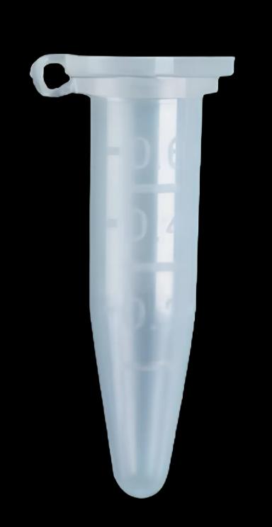 Microcentrifuge Tube Fisherbrand™ Polypropylene Tube 500 µL Snap Cap
