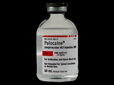 Polocaine® Mepivacaine HCl 1%, 10 mg / mL Injection Multiple-Dose Vial 50 mL - 63323028357