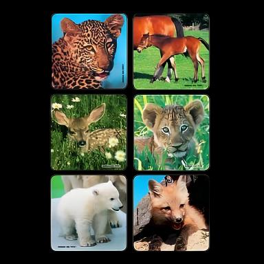 Kids Love Stickers® 90 per Pack Baby Animal Photos , Assorted Sticker 2-1/2 Inch