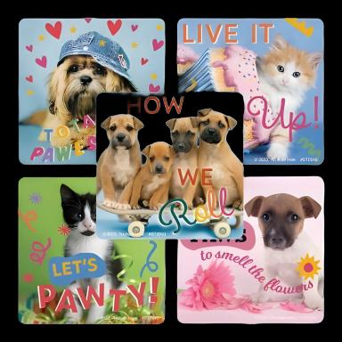 SmileMakers® 100 per Roll Rachael Hale Let's Pawty Sticker 2-1/2 Inch