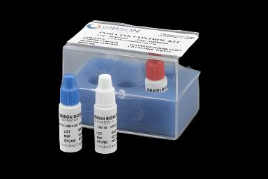 Microbial Identification Control Set for India Ink Wet Mounts - Positive/Negative